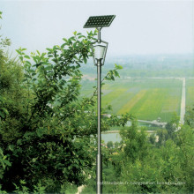 Lampe de jardin solaire à LED 12V avec 2 ans de garantie